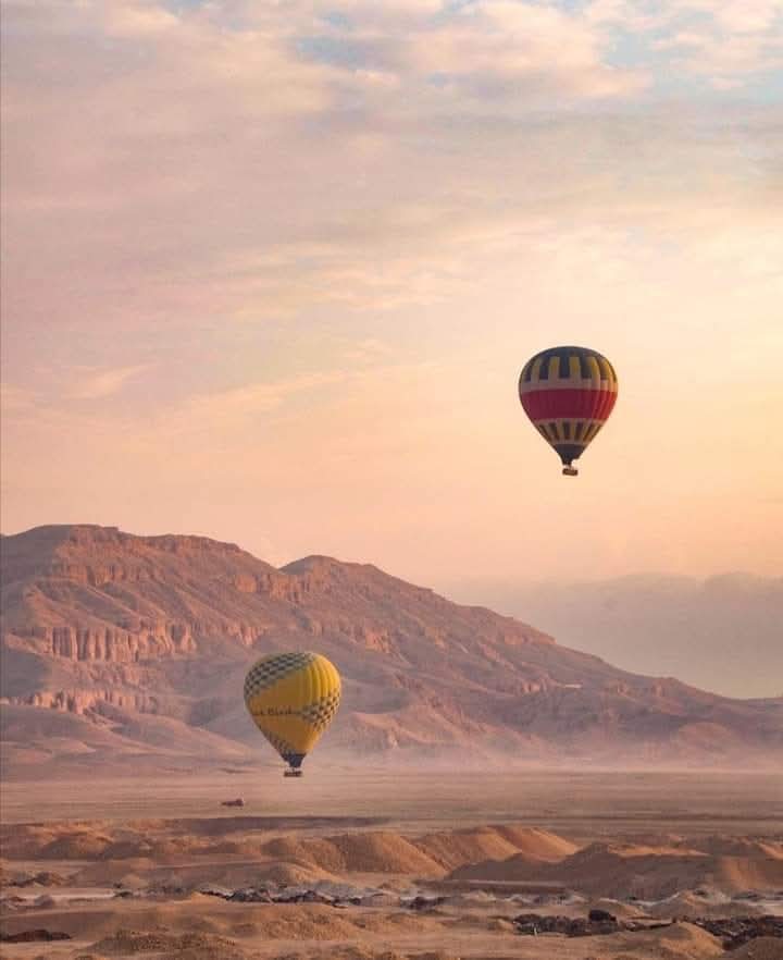 IMG-20250613-WA0044